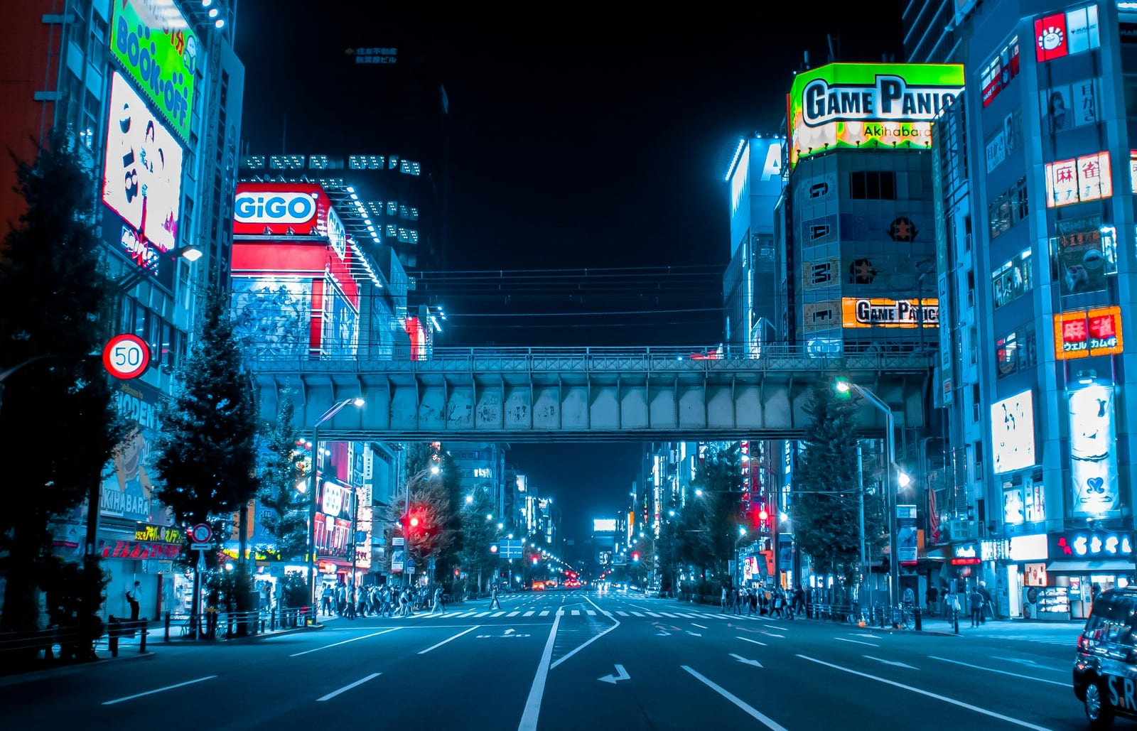 The neon signs and crowds of Akihabara's Electric Town.