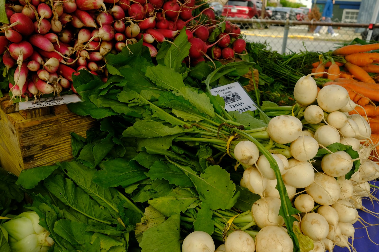 Fresh radishes, turnips, and carrots piled at a New England farm-market stand.