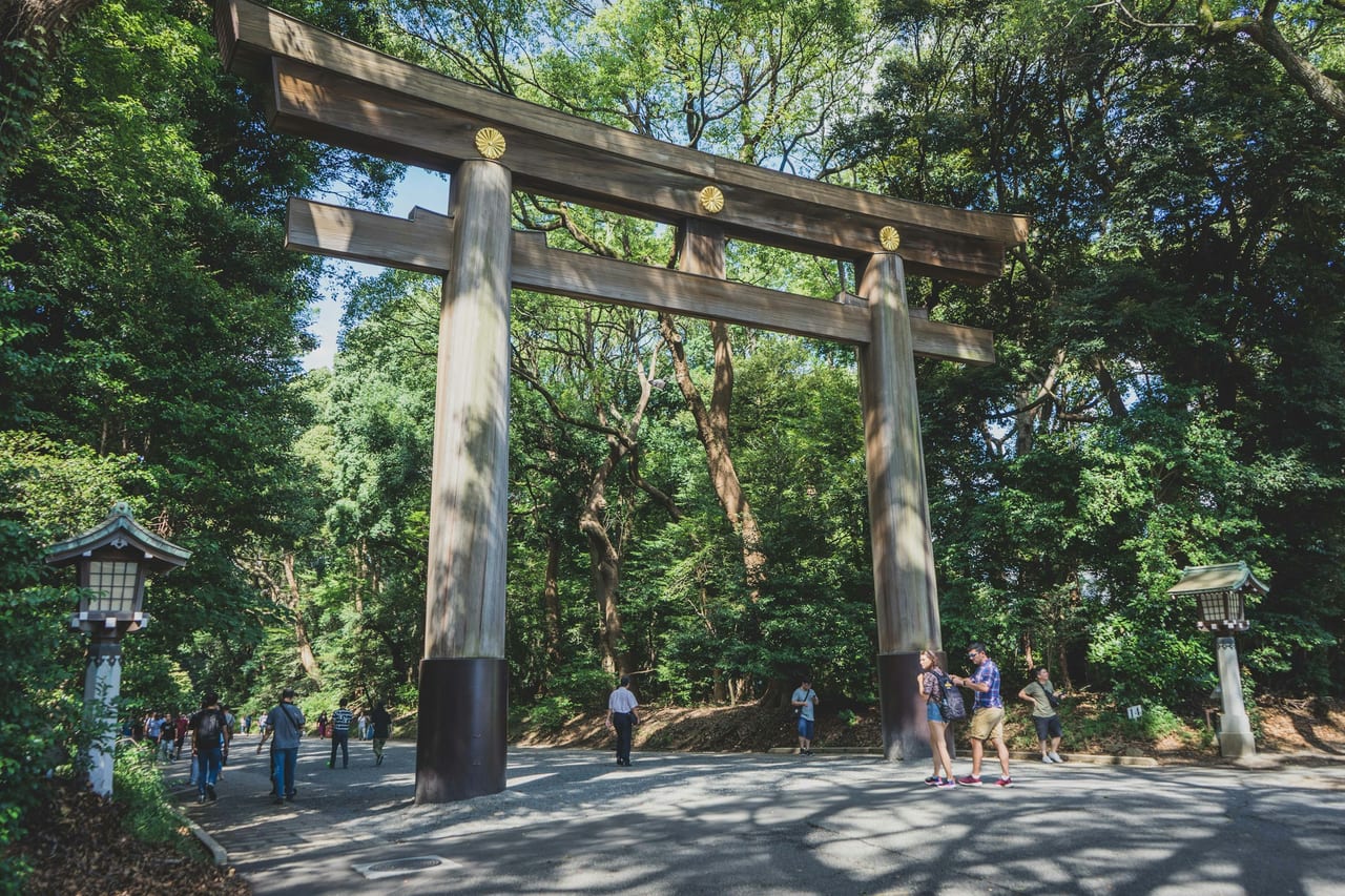 Visitors pass beneath the great wooden torii at the entrance to Meiji Jingu, the gravel approach lined with tall trees.