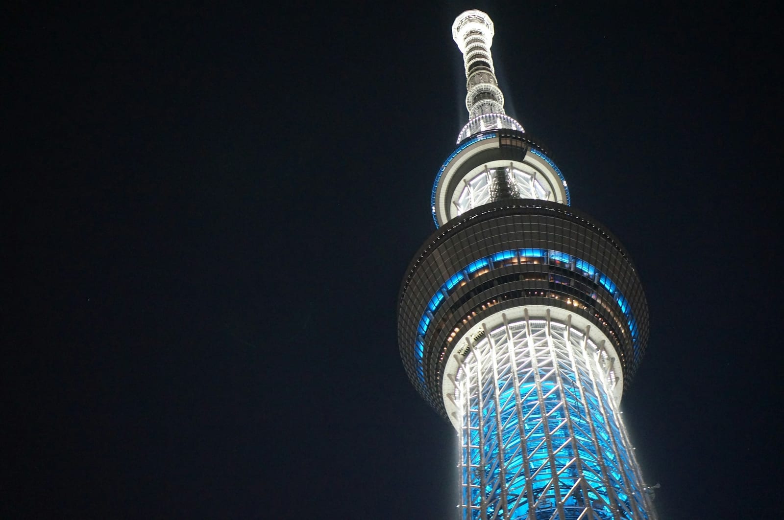 Tokyo Skytree framed by cherry blossoms at Sumida Park.