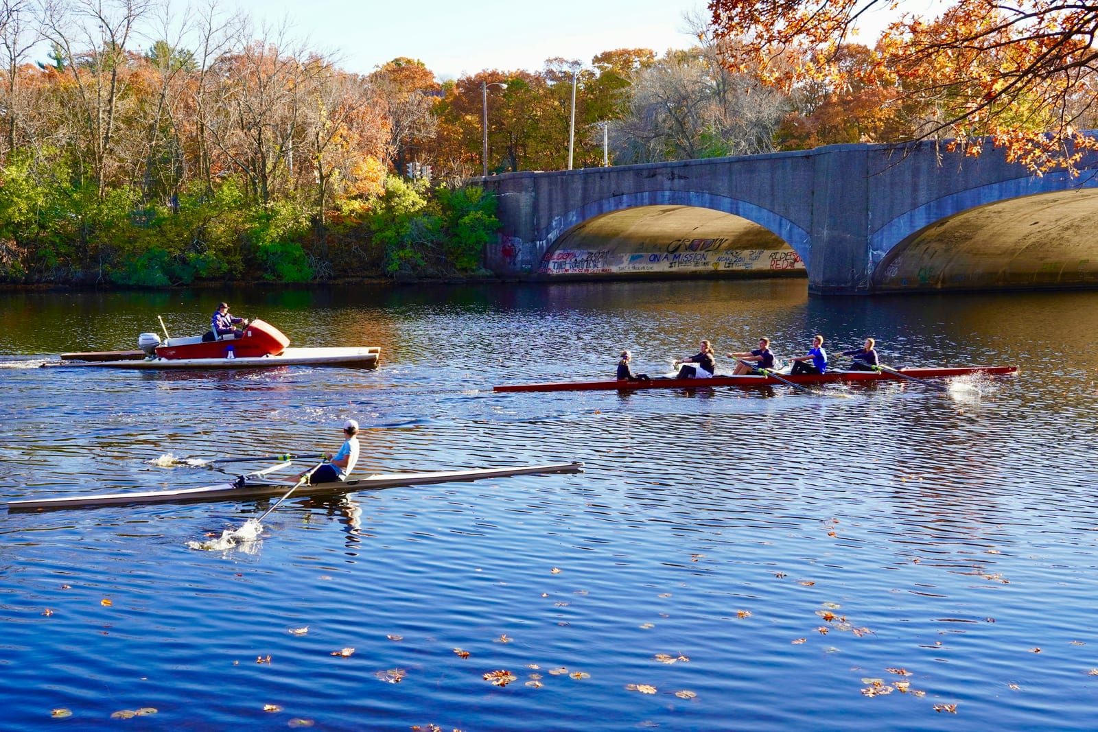 Rowing crews racing on the Charles River during the Head of the Charles Regatta with fall foliage on the banks.