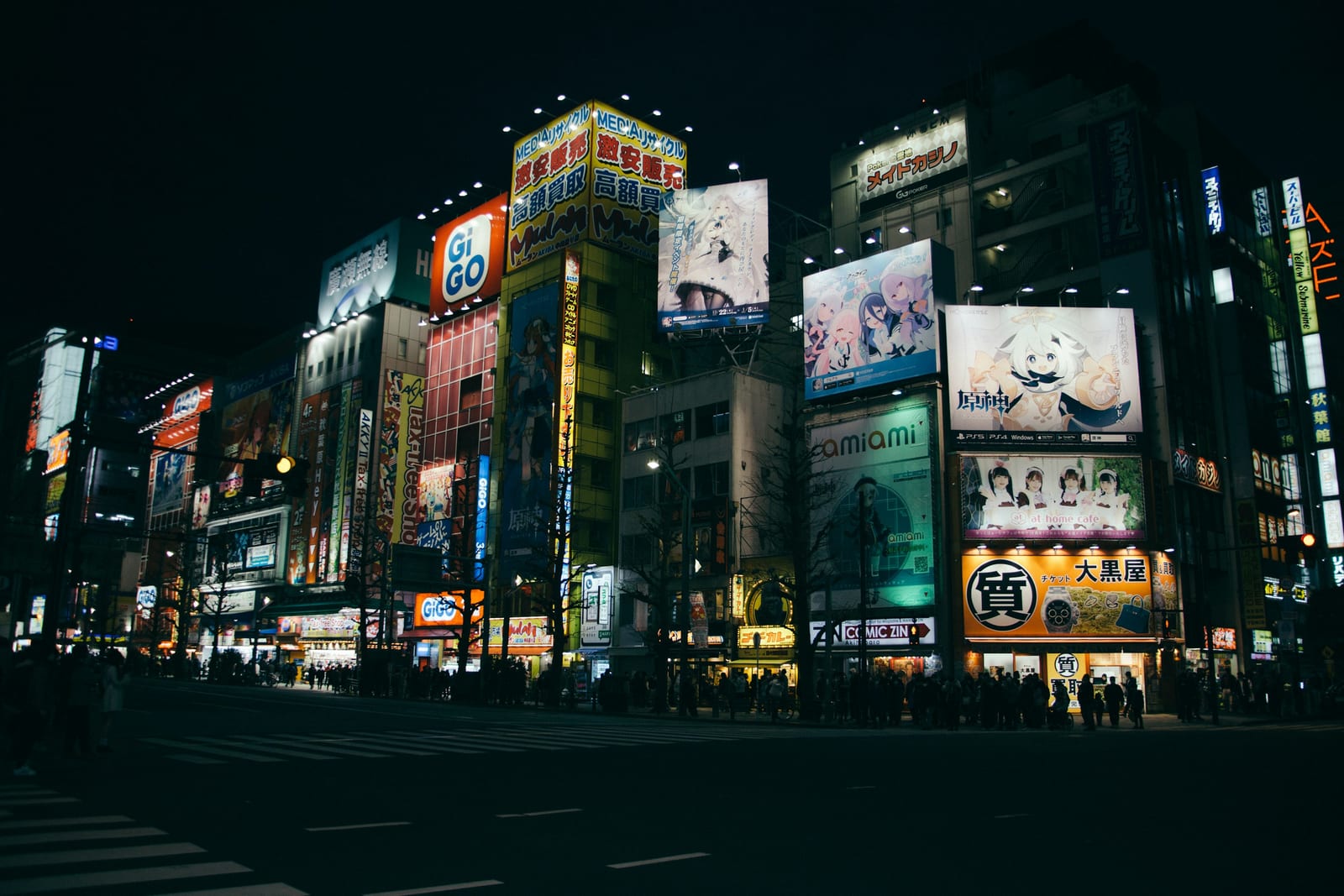 Neon billboards lighting up the Akihabara Electric Town skyline after dark.