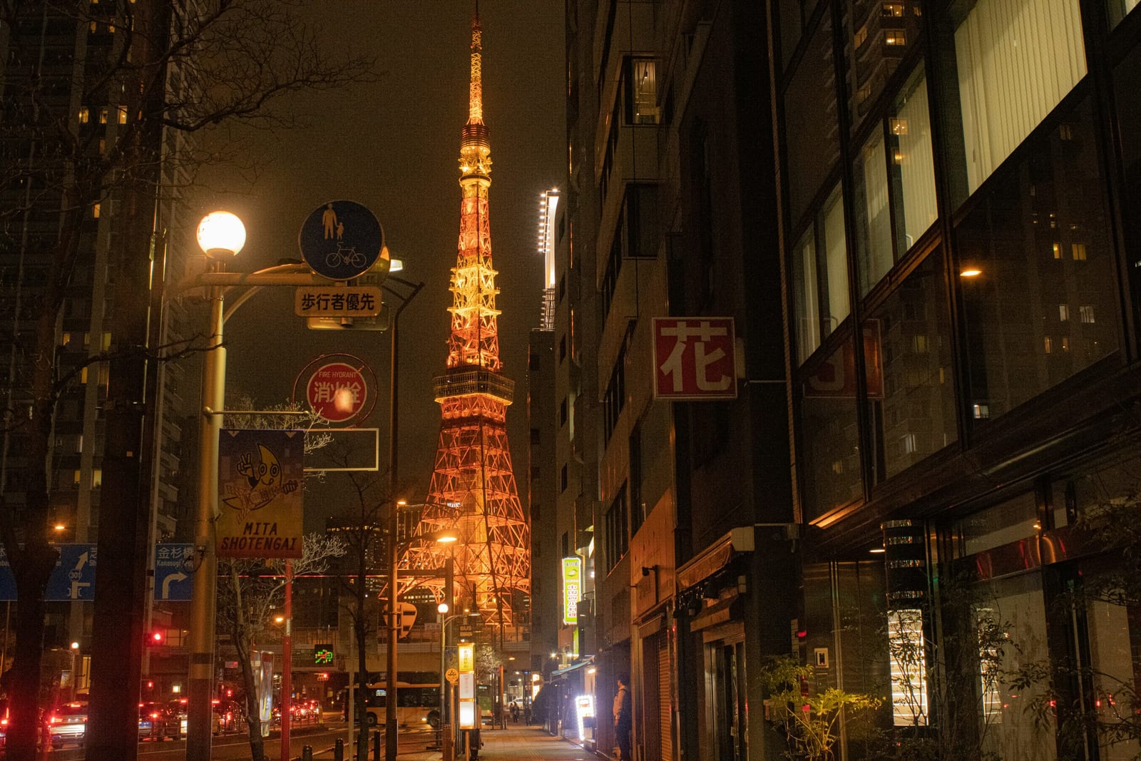 Neon signs and Tokyo Tower light up a Roppongi street after dark.