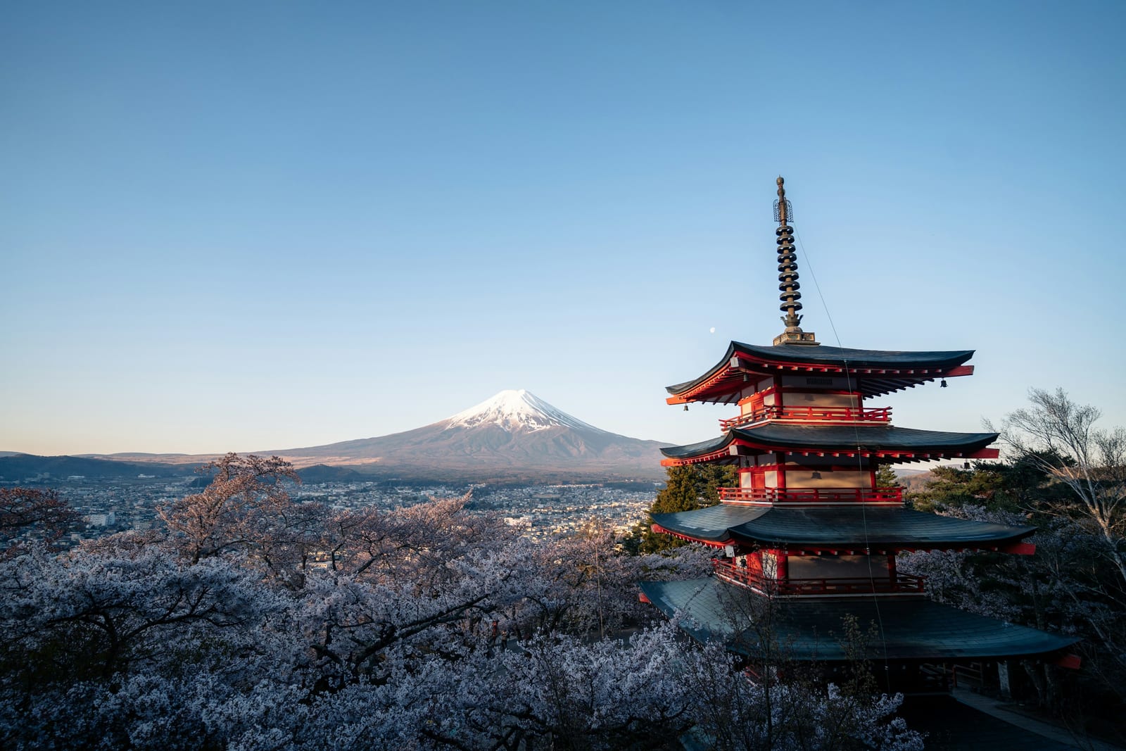 The five-storey Chureito Pagoda with Mt. Fuji and cherry blossom behind it.