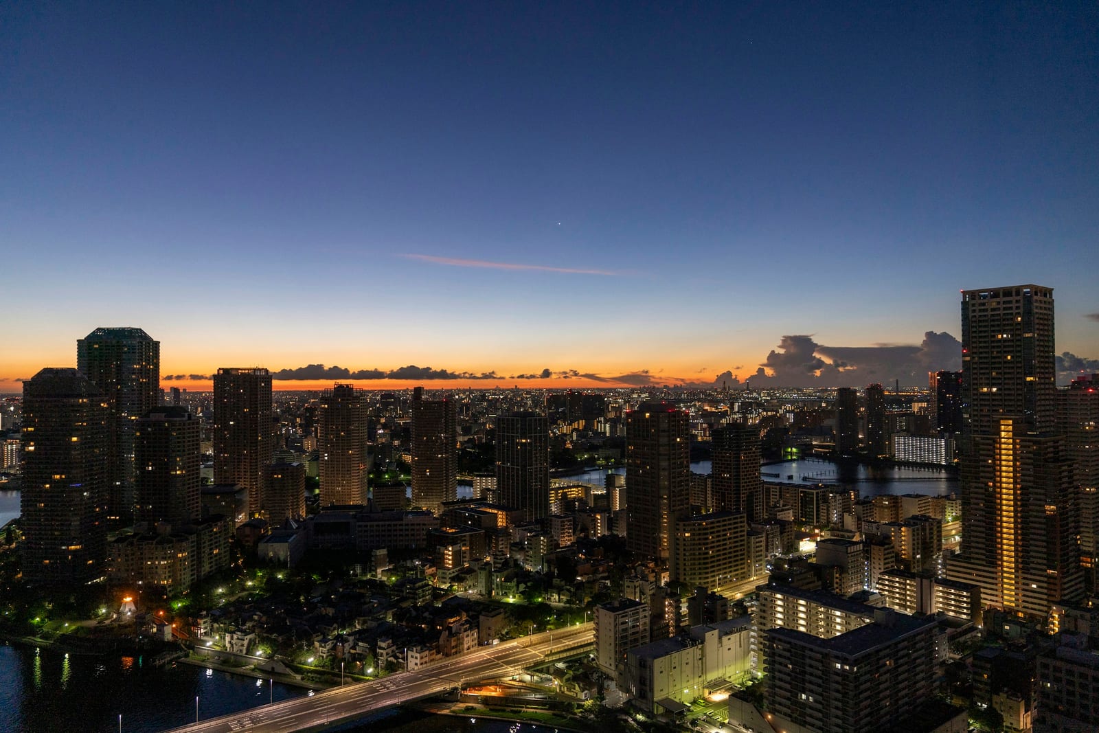 Central Tokyo's towers and avenues lit up at dusk.