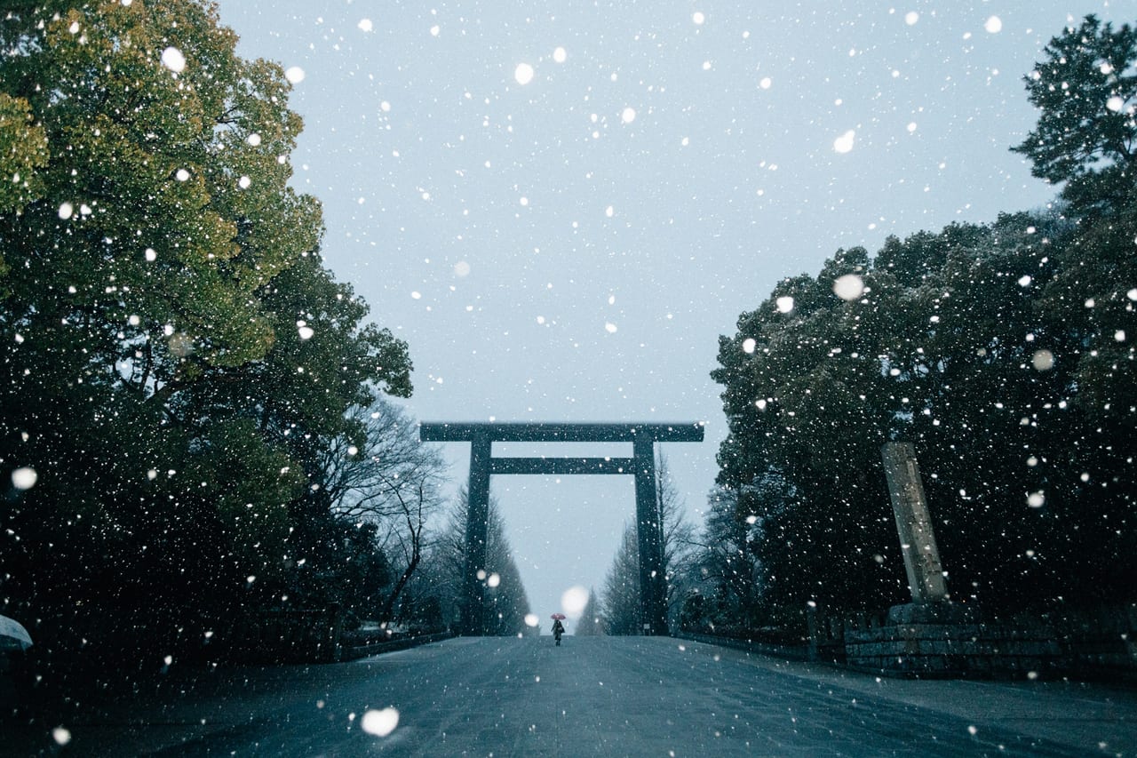 The giant wooden torii gate of Meiji Jingu, crowned with gold imperial crests, stands within its towering forest.