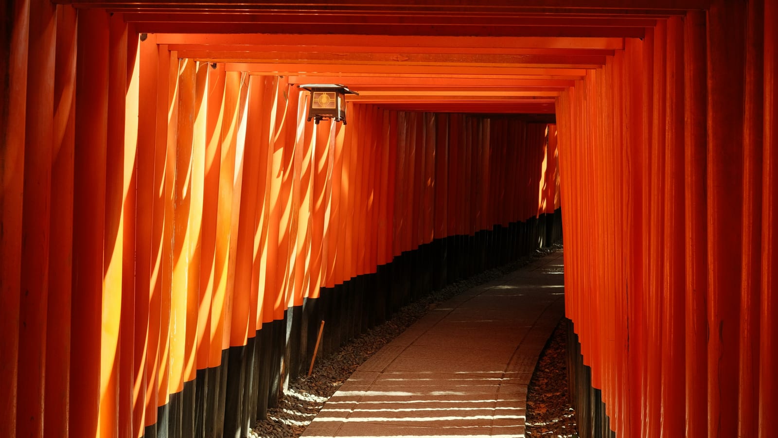 A tunnel of vermilion torii gates at Fushimi Inari shrine in Kyoto.
