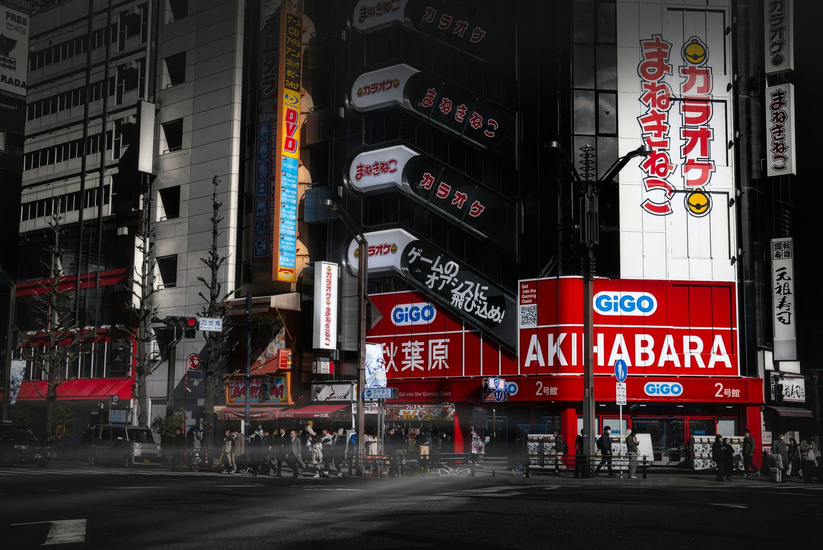 The neon signs and crowds of Akihabara's Electric Town.