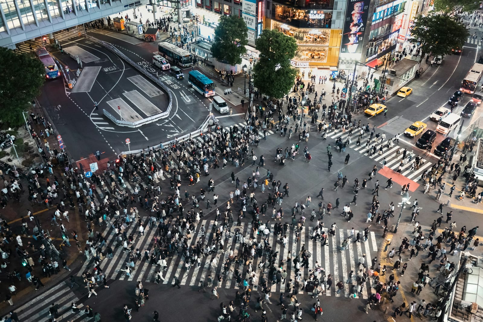 Crowds crossing the Shibuya Scramble.