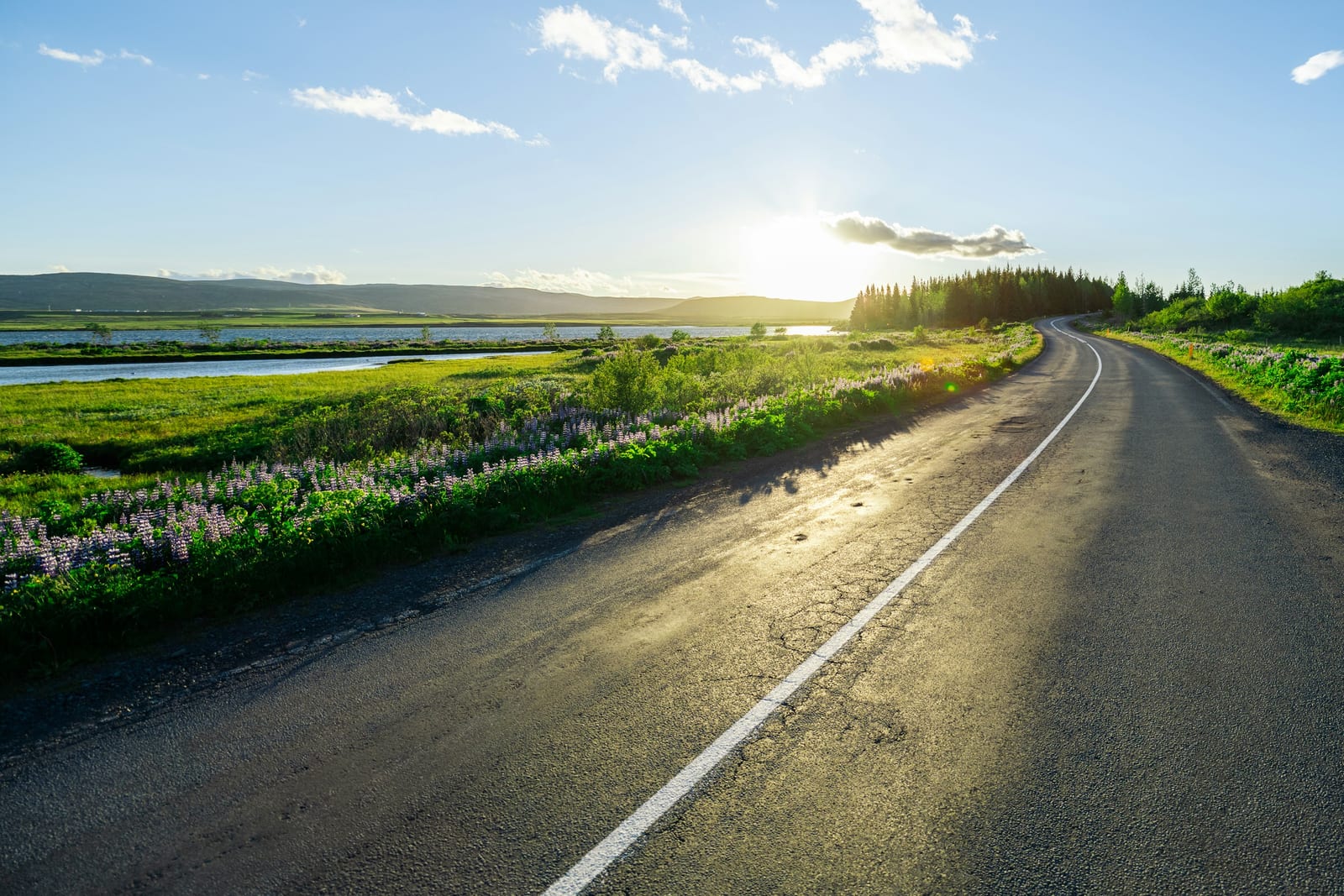 A sunlit paved road curves through green fields beside a broad body of water under a blue sky.