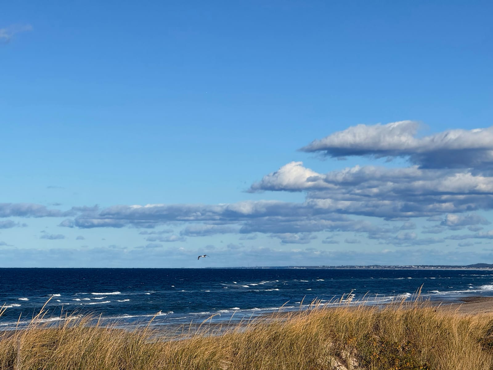 View over dune grass toward a blue ocean horizon with scattered clouds.