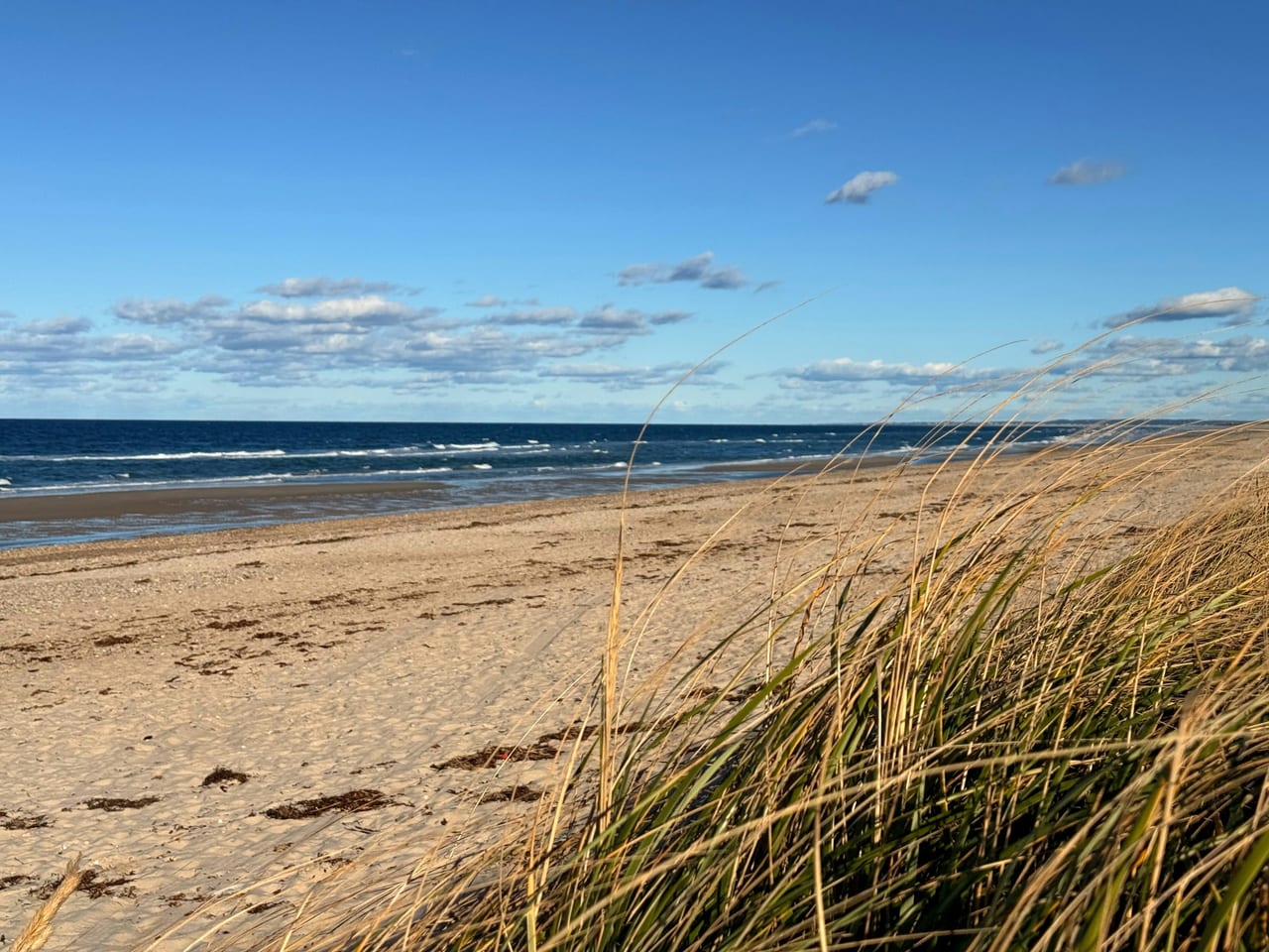 A sandy Cape Cod beach stretching along the Atlantic coast with dune grass and blue sky.