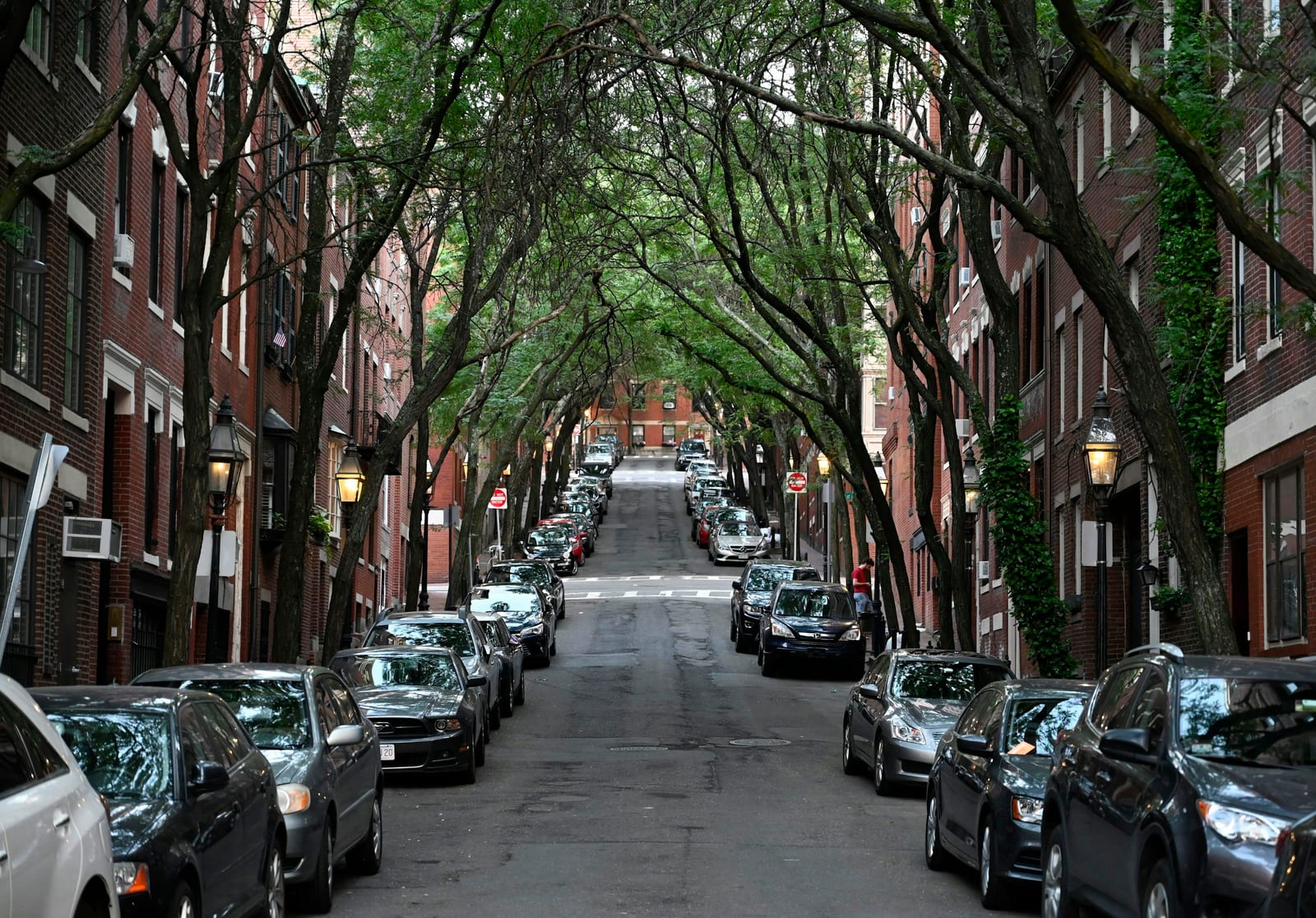 Brownstone row houses along a tree-lined Back Bay street