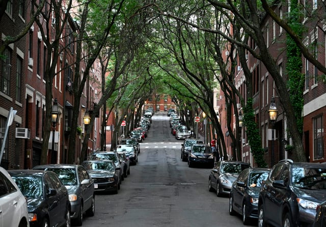 Brownstone row houses along a tree-lined Back Bay street