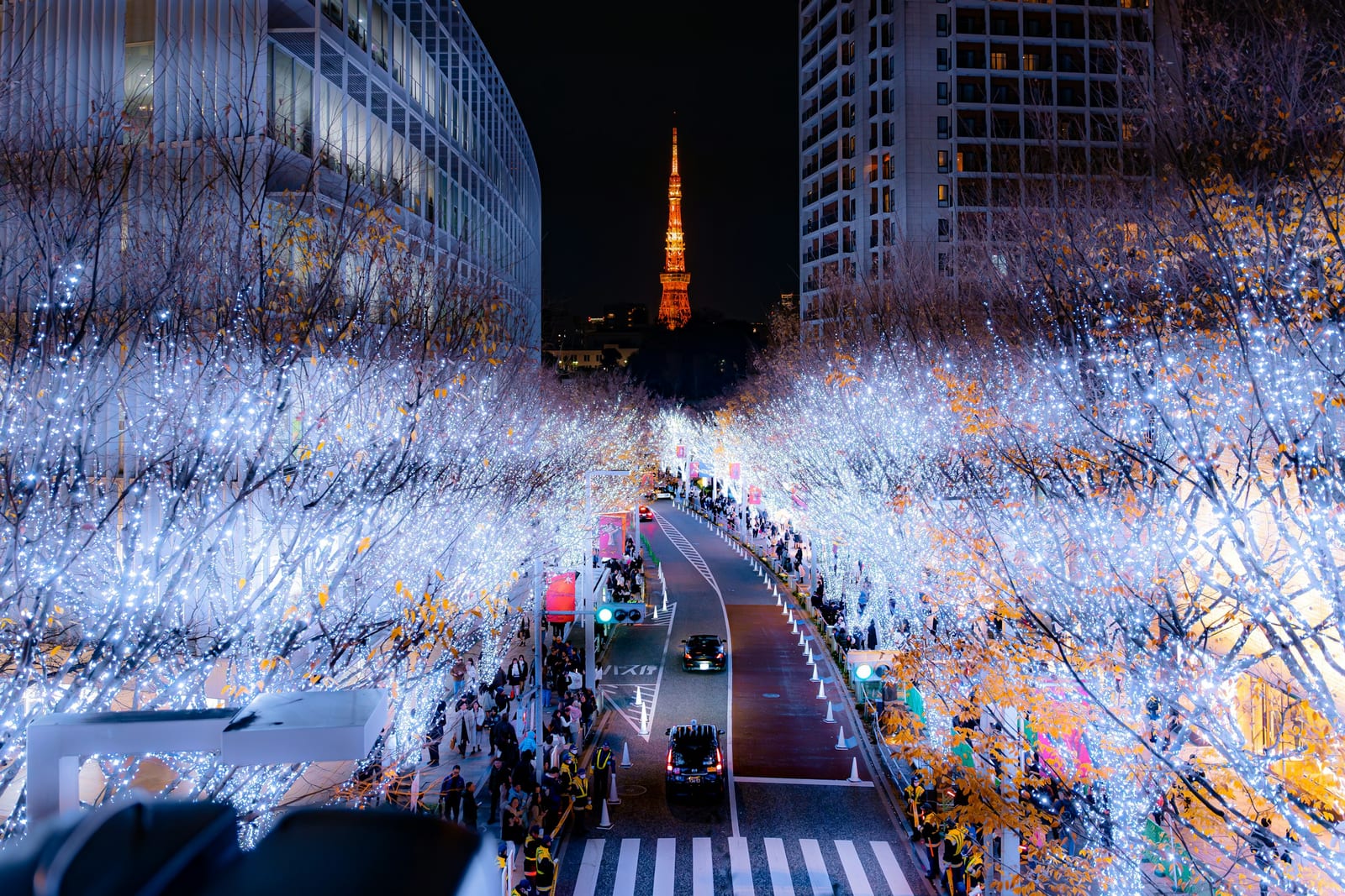 A golden winter-illumination avenue with Tokyo Tower in the distance.