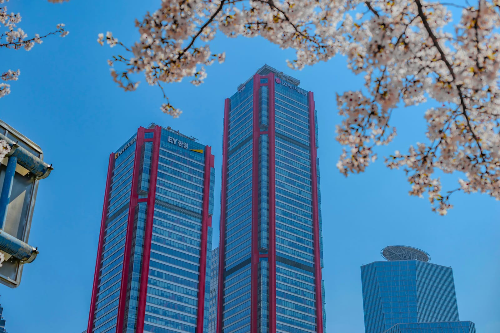 Cherry blossoms frame Seoul high-rise buildings beneath a clear blue sky.
