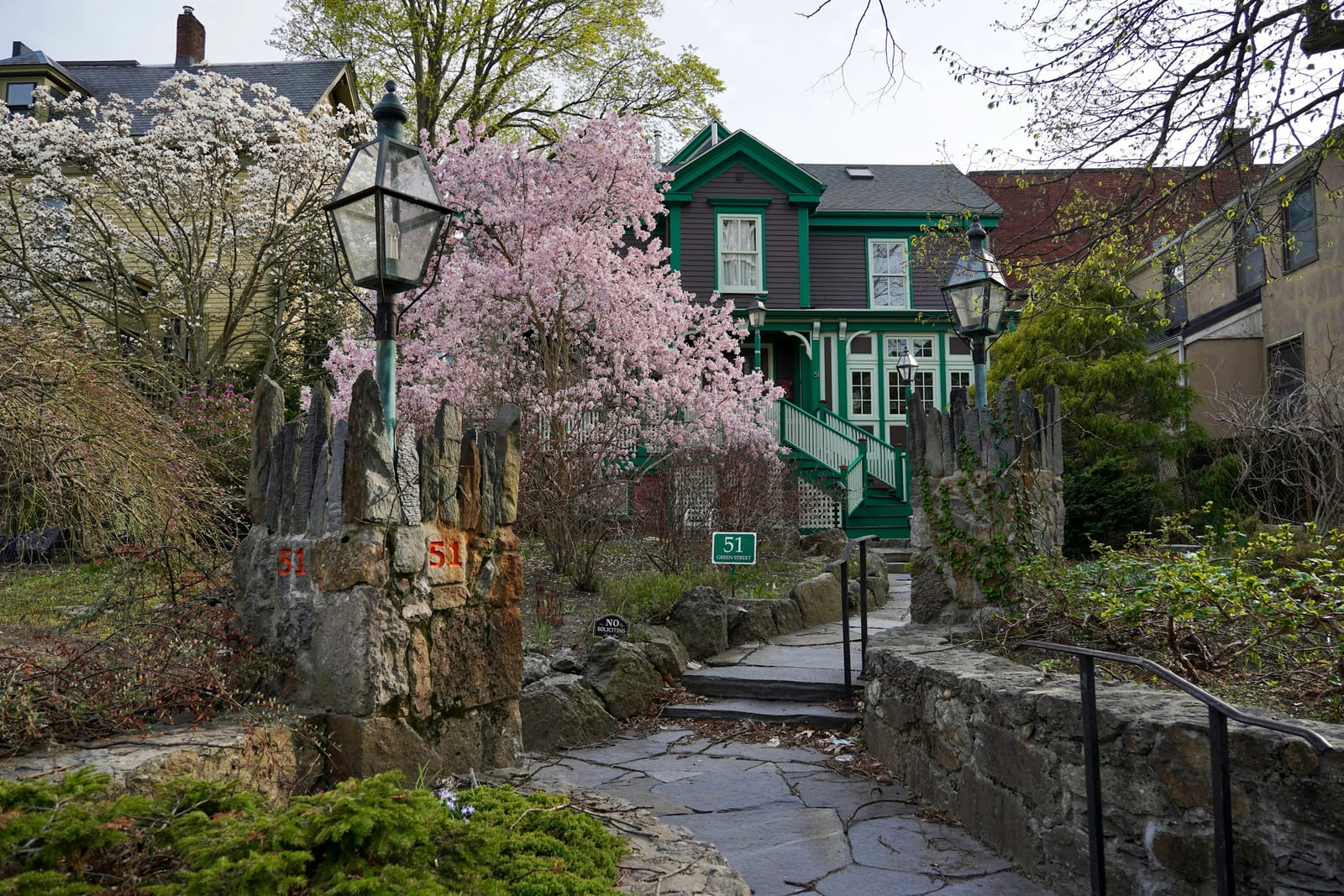 A pink flowering tree stands beside a green Victorian house along a stone-walled path with lamp posts.