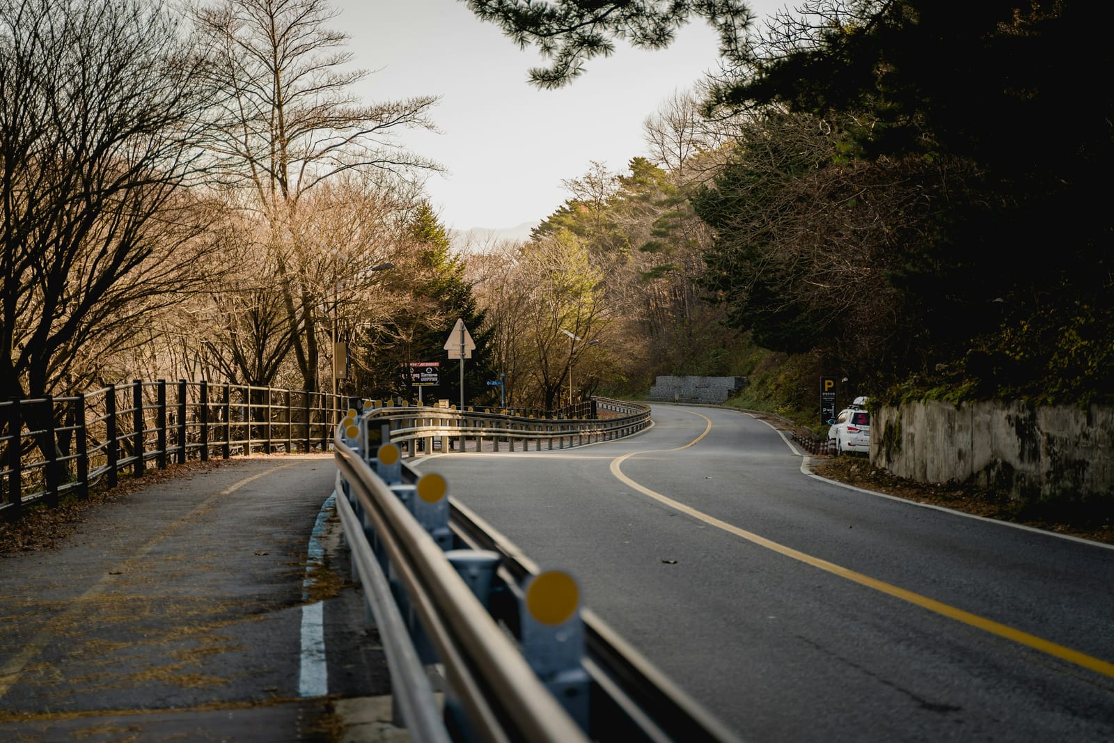 A winding road curves through a forest.