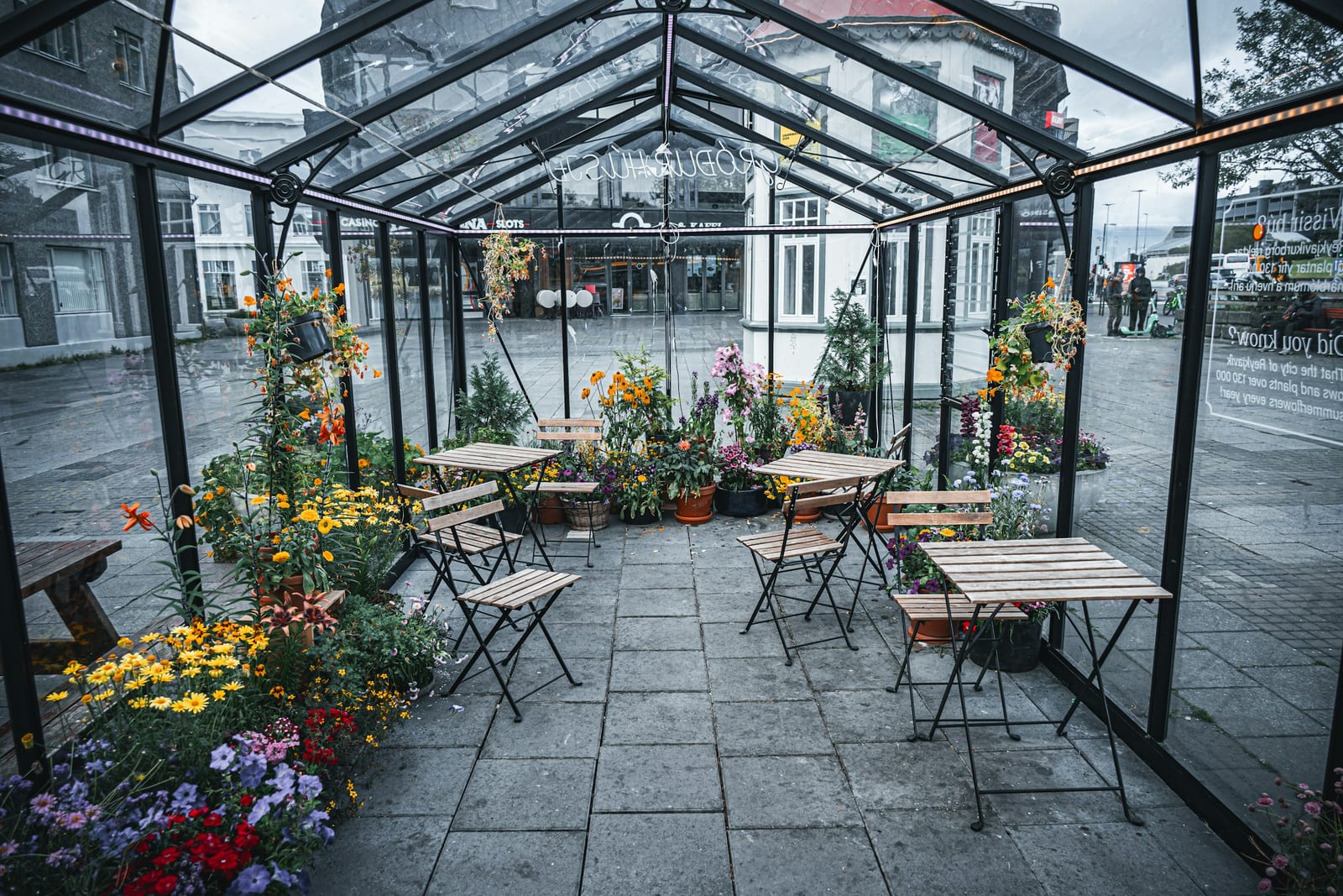 A glass-covered courtyard in Reykjavik is filled with colorful flowering plants, small tables, and chairs.