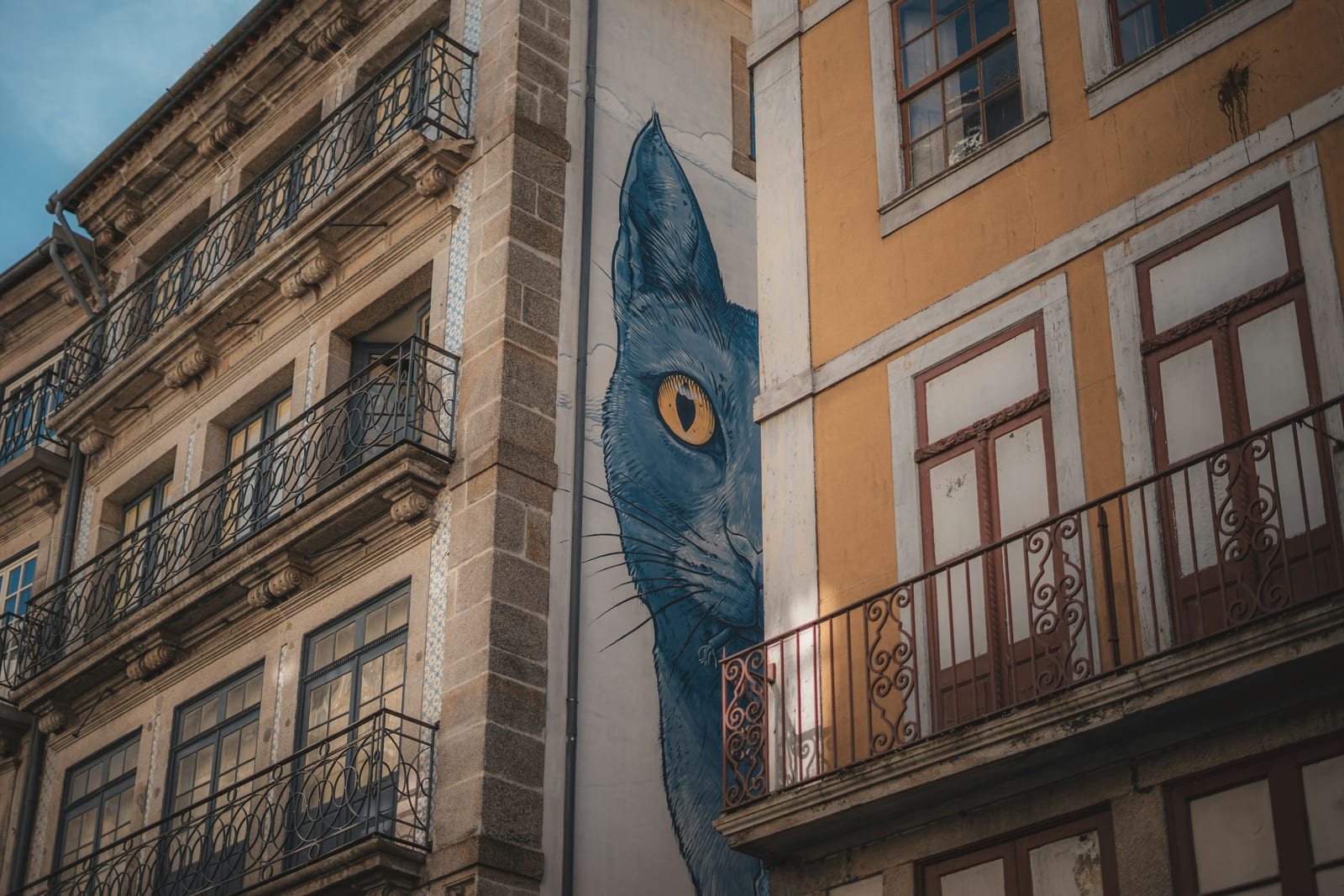 A vivid blue-cat mural on a graffiti-covered wall in San Lorenzo.
