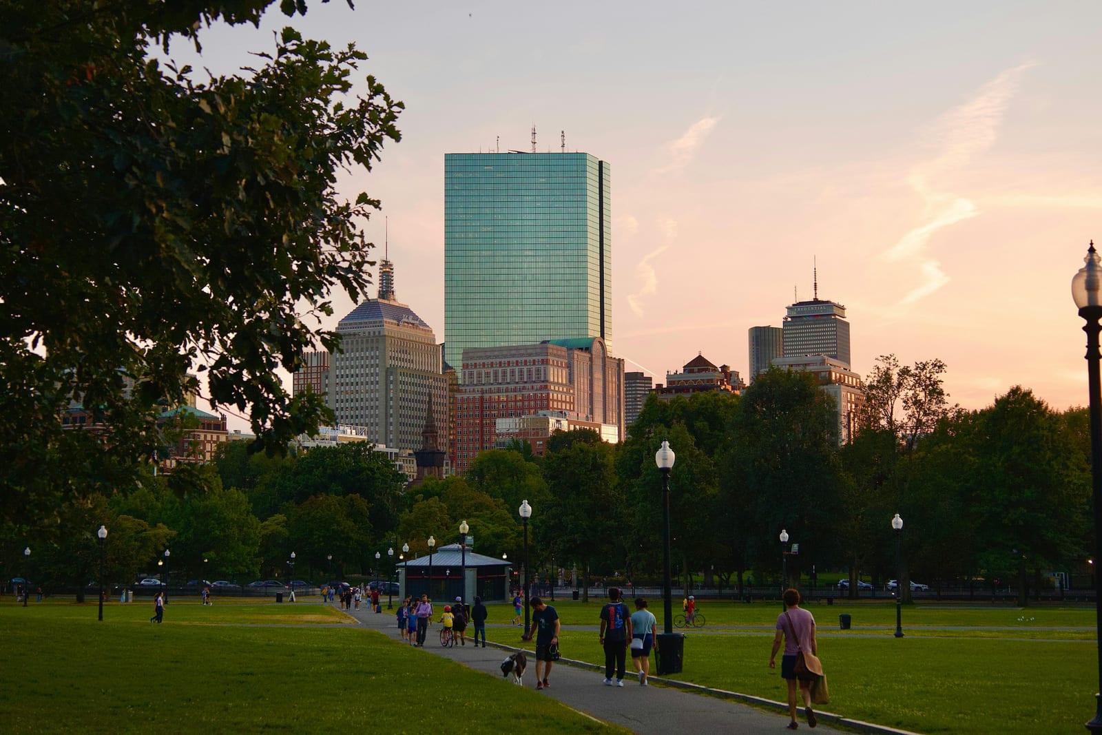A tree-lined walkway through Boston Common with city buildings in the background.