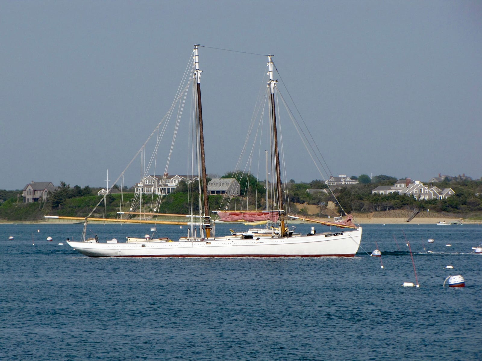 A two-masted white schooner sits anchored in a sunlit harbor with waterfront homes lining the shore behind it.