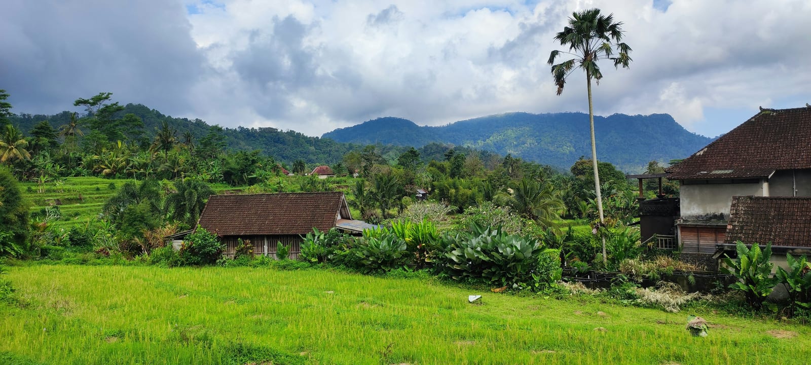 Bright green rice fields lead toward Balinese village houses and forested hills beneath a blue sky.