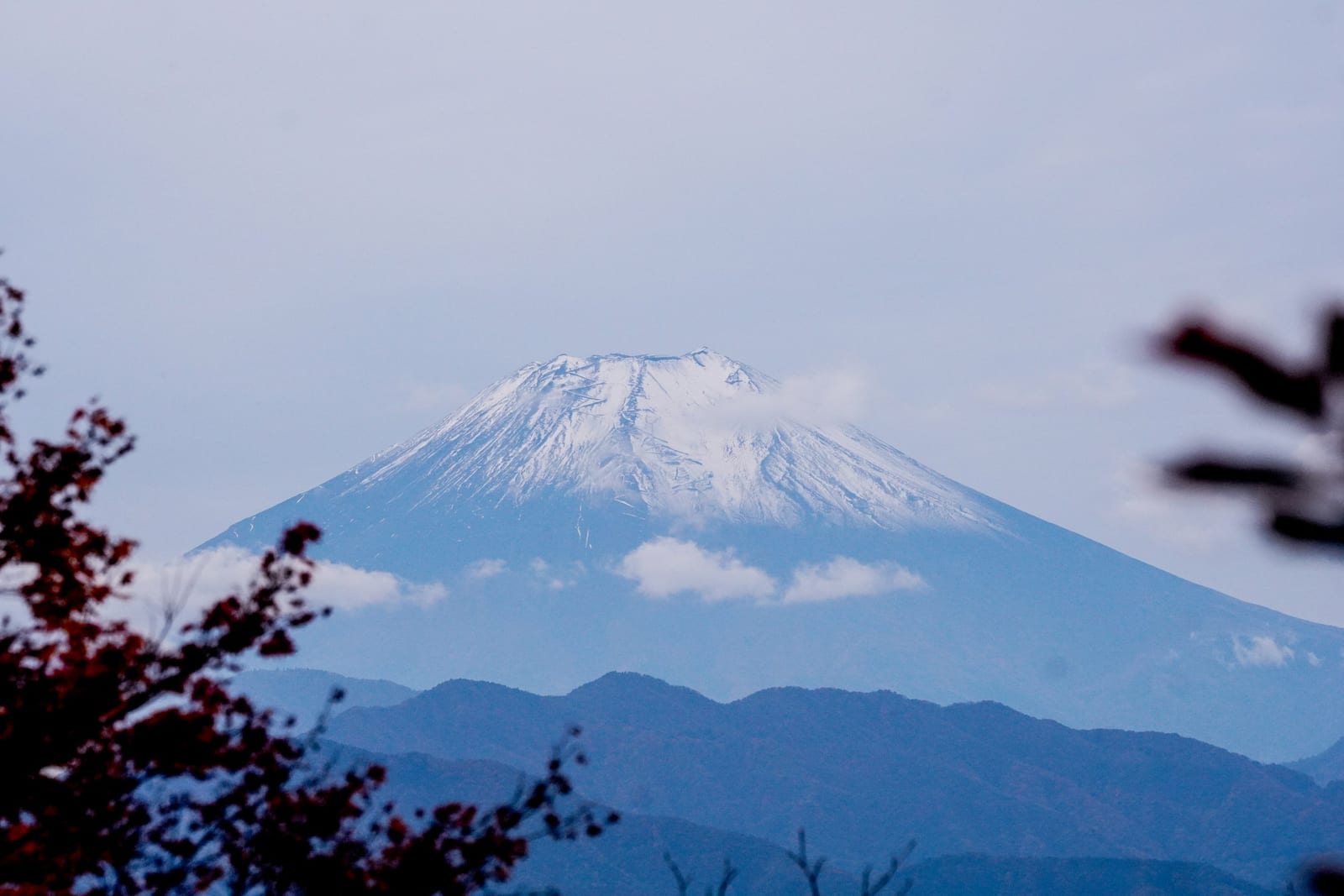 Snow-capped Mt. Fuji seen across hazy ridges from a Tokyo mountain, framed by autumn leaves.