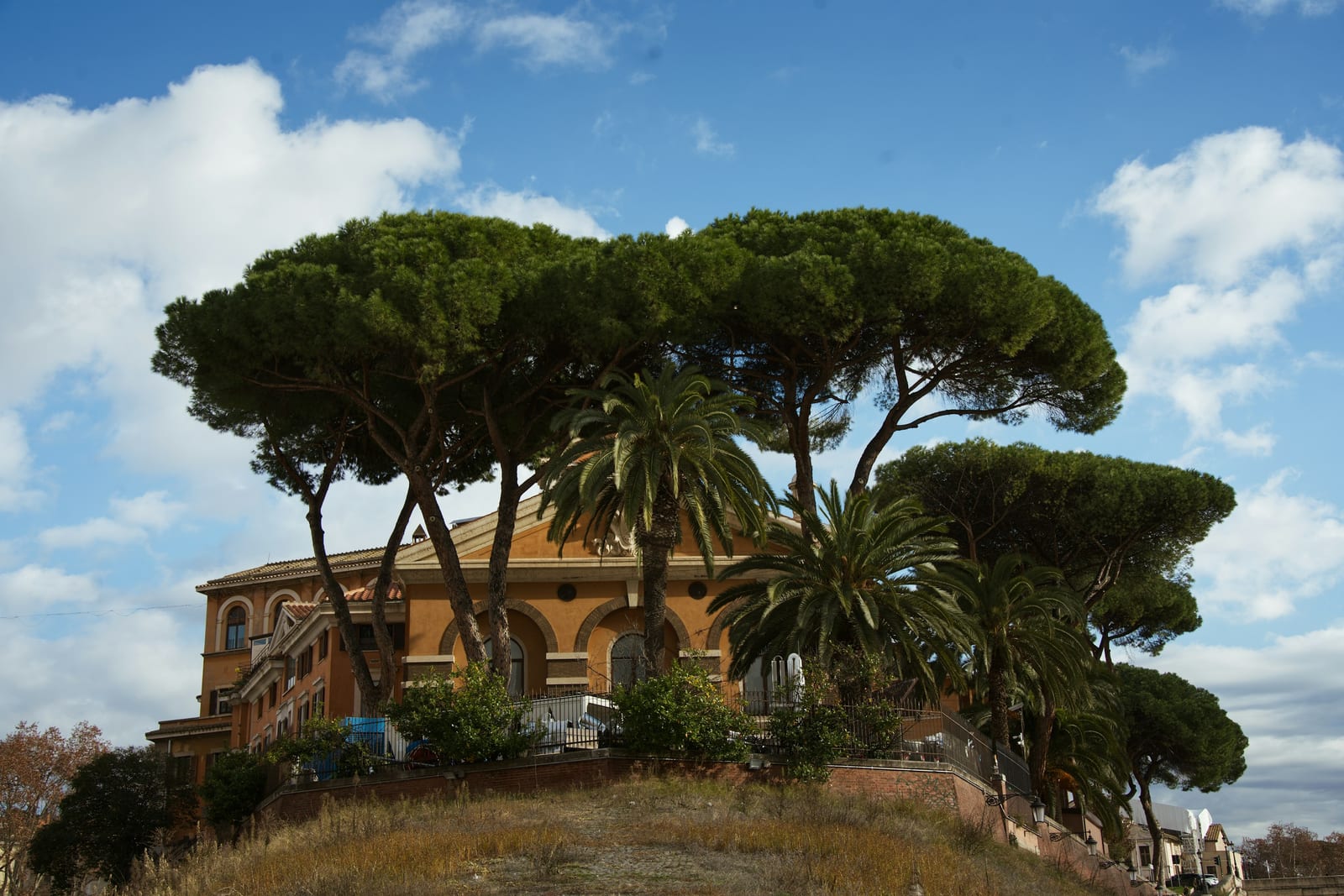 Umbrella pines and rooftops in central Rome in warm evening light, seen from a public square.