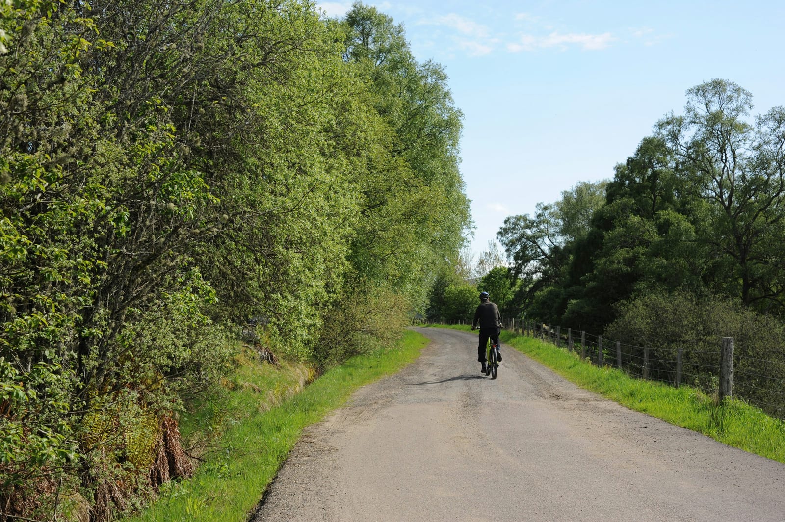 A cyclist rides a bicycle along a tree-lined country road in daylight.