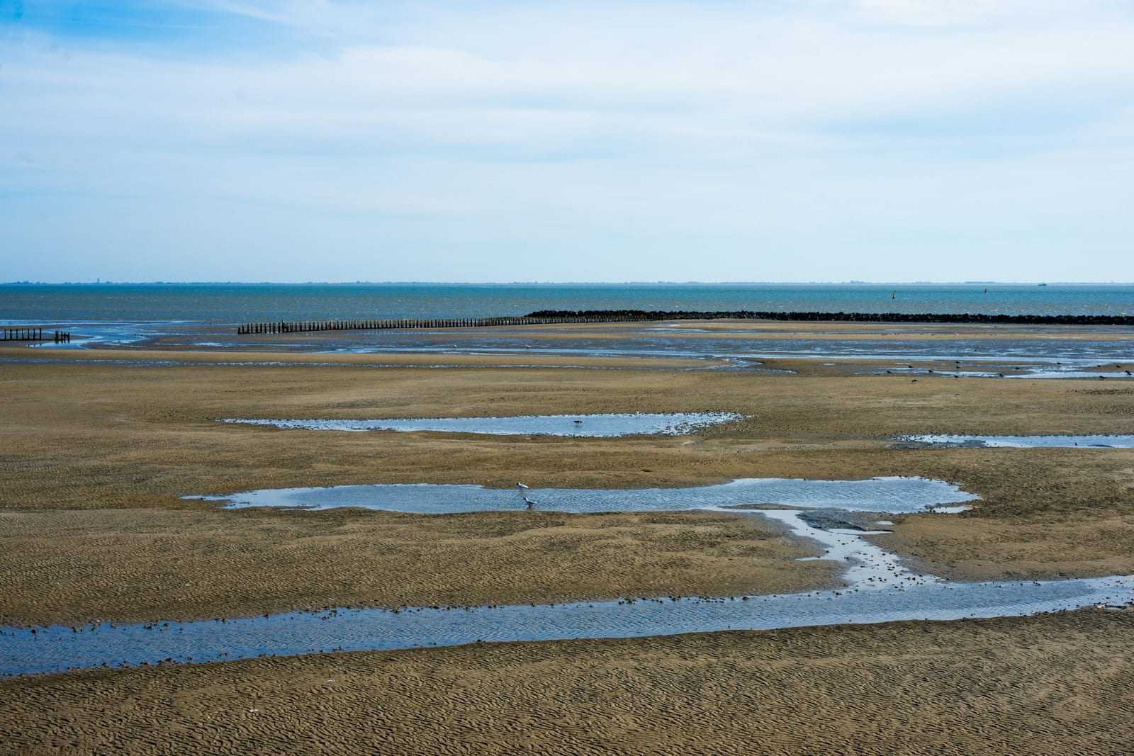 Vast tidal flats with water pools under a cloudy sky.