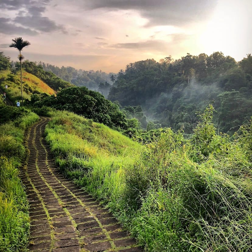 Campuhan Ridge Walk, Ubud, Bali in Bali