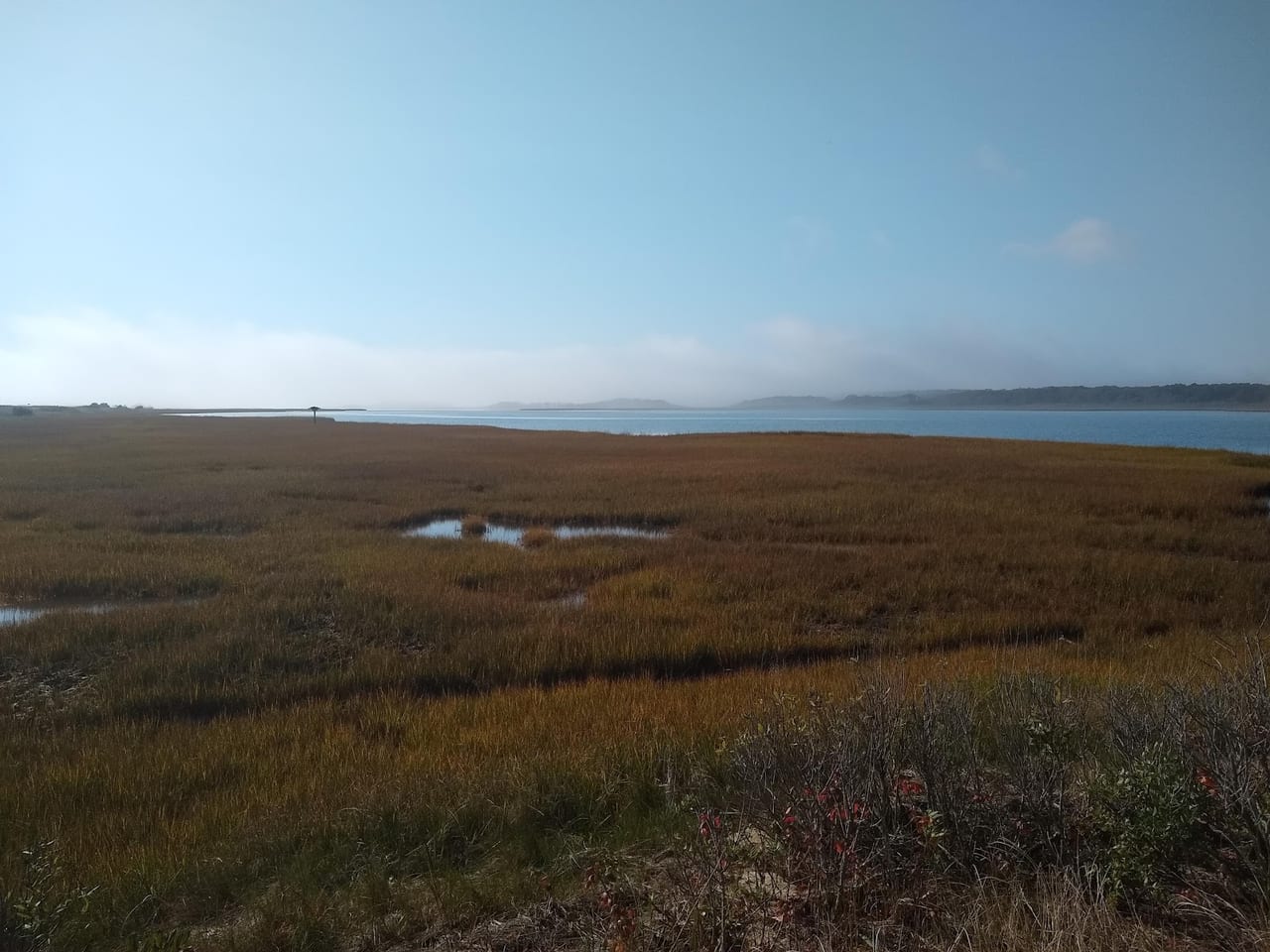 Cape Poge Wildlife Refuge, Chappaquiddick in Martha's Vineyard