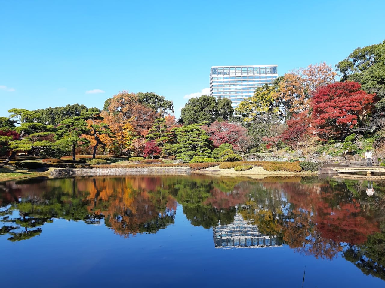 Autumn maples and clipped pines ring the still Ninomaru pond in the Imperial Palace East Gardens under a clear blue sky.
