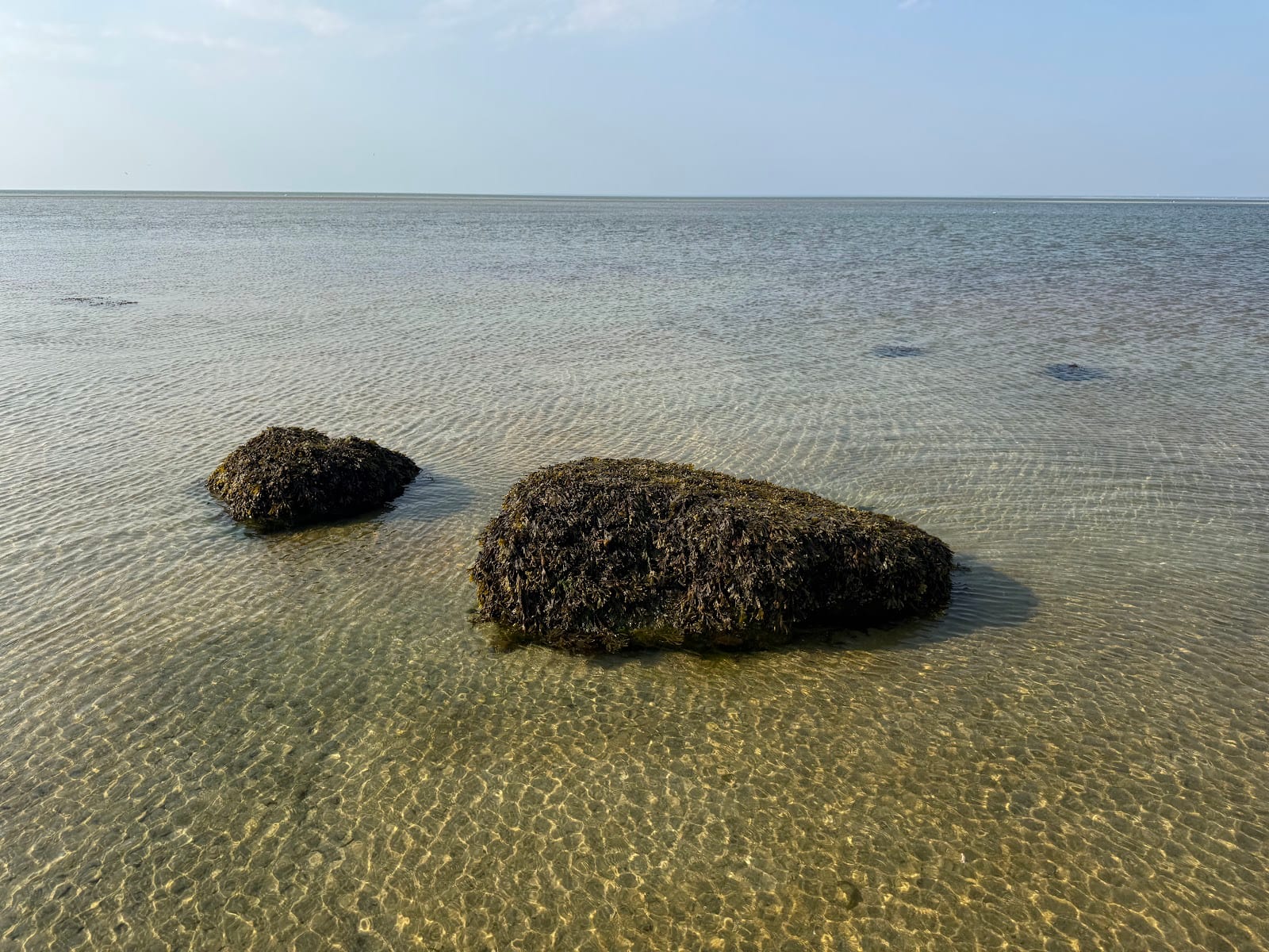 Brewster Flats & Cape Cod Bay Beach in Cape Cod