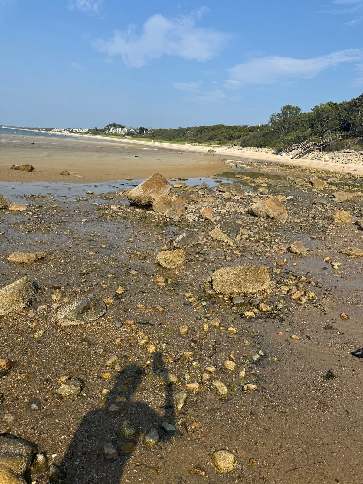 Brewster Flats & Cape Cod Bay Beach in Cape Cod