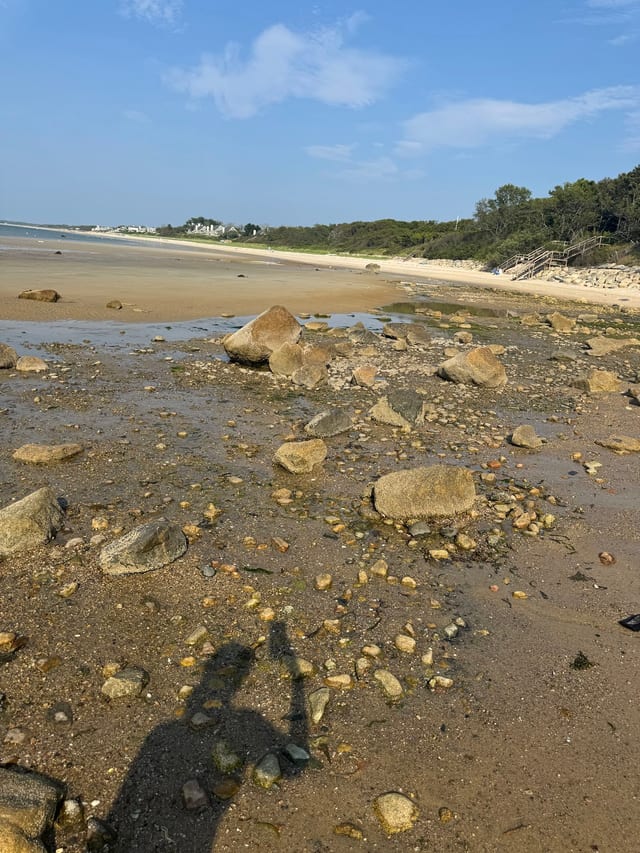 Brewster Flats & Cape Cod Bay Beach in Cape Cod
