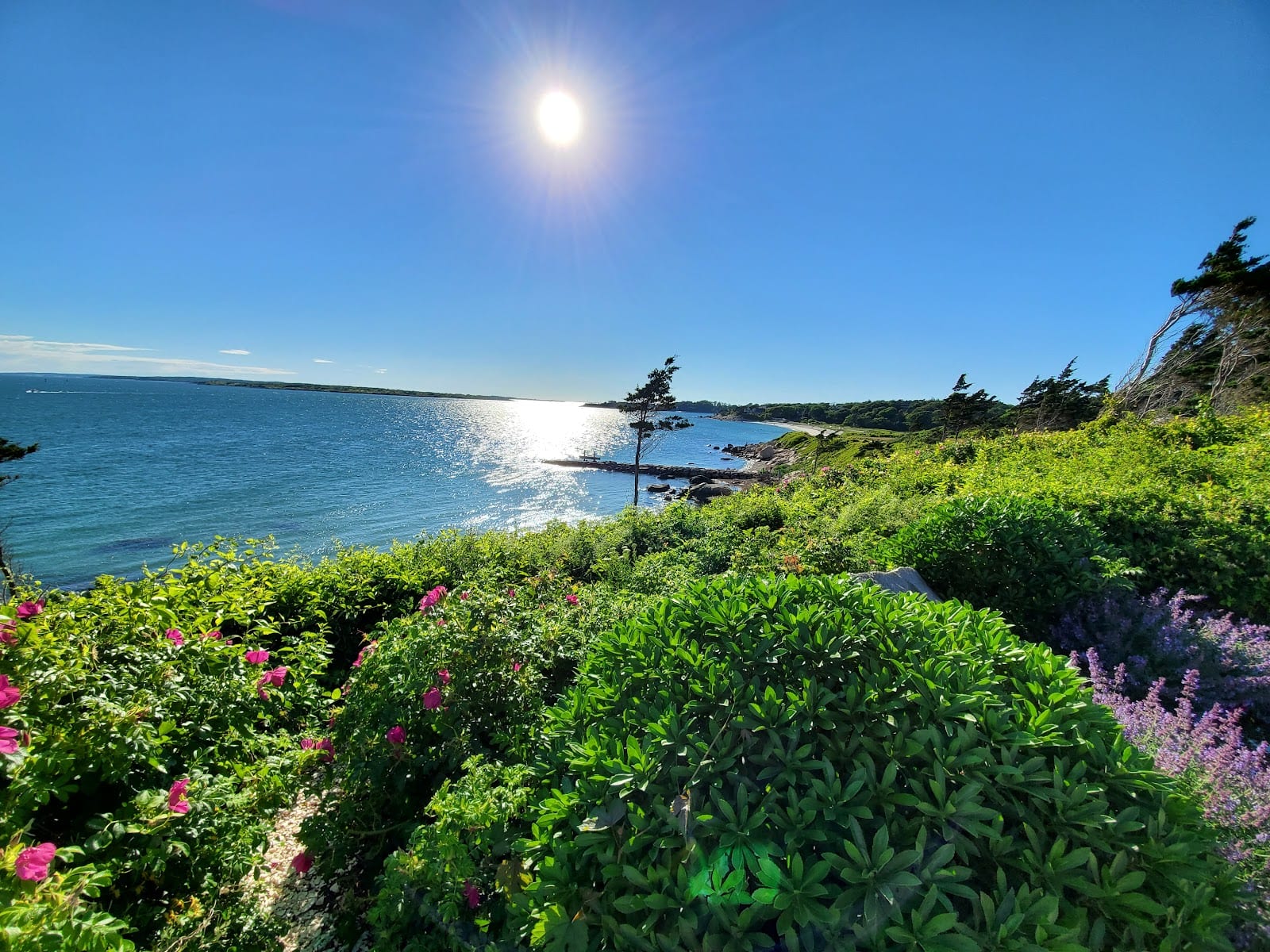 Nobska Lighthouse in Cape Cod
