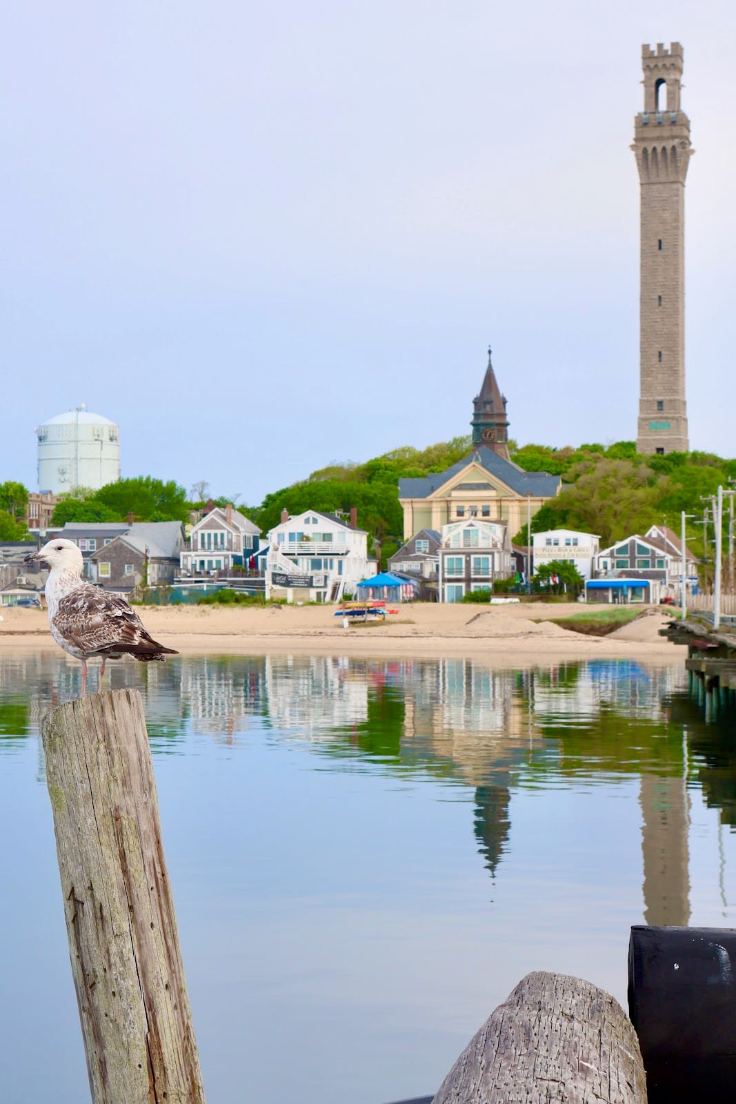 Provincetown Harbor & West End Waterfront in Cape Cod