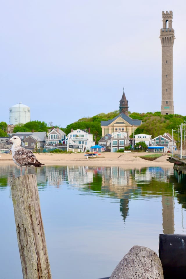 Provincetown Harbor & West End Waterfront in Cape Cod