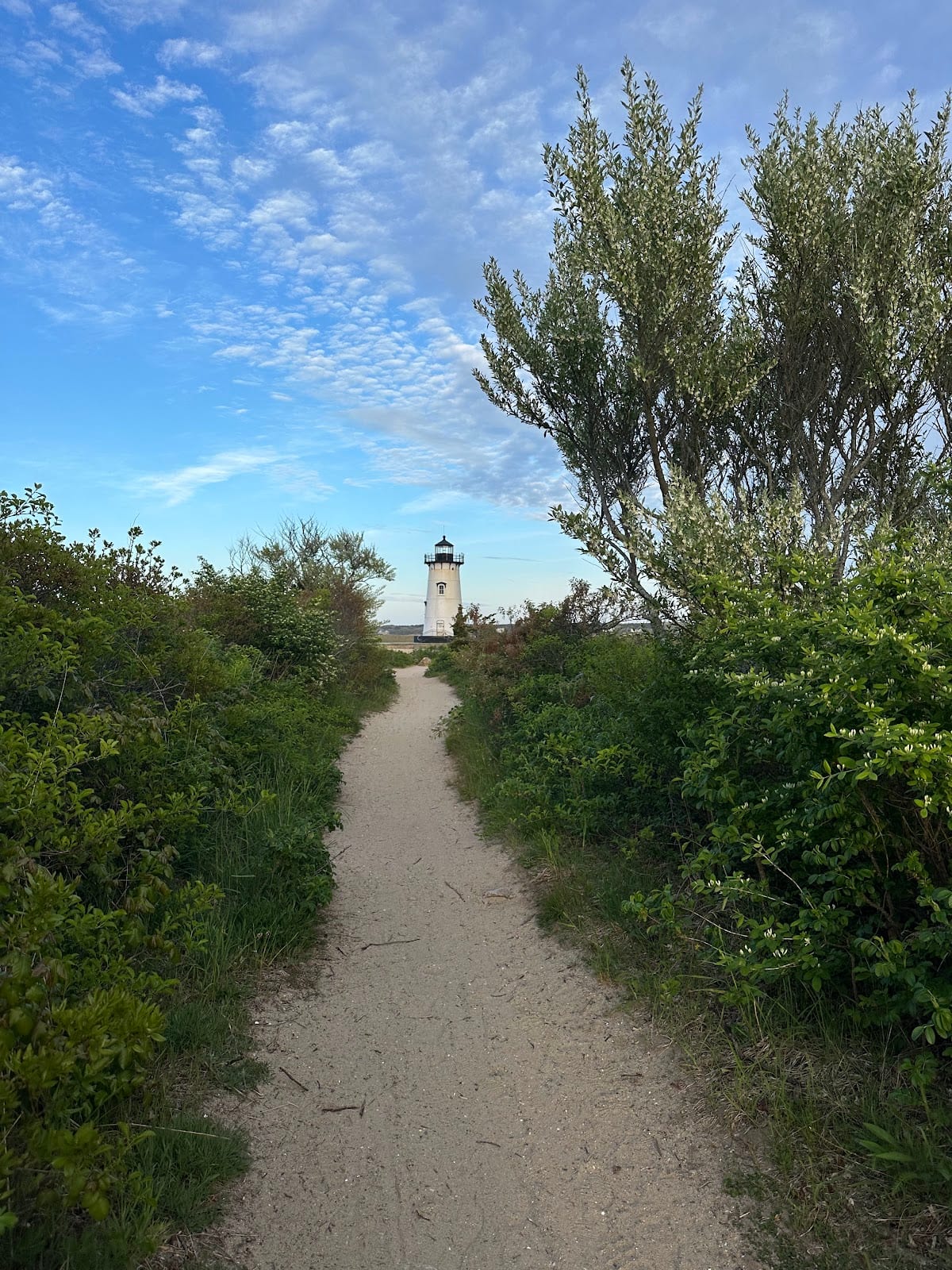 Edgartown Lighthouse in Martha's Vineyard
