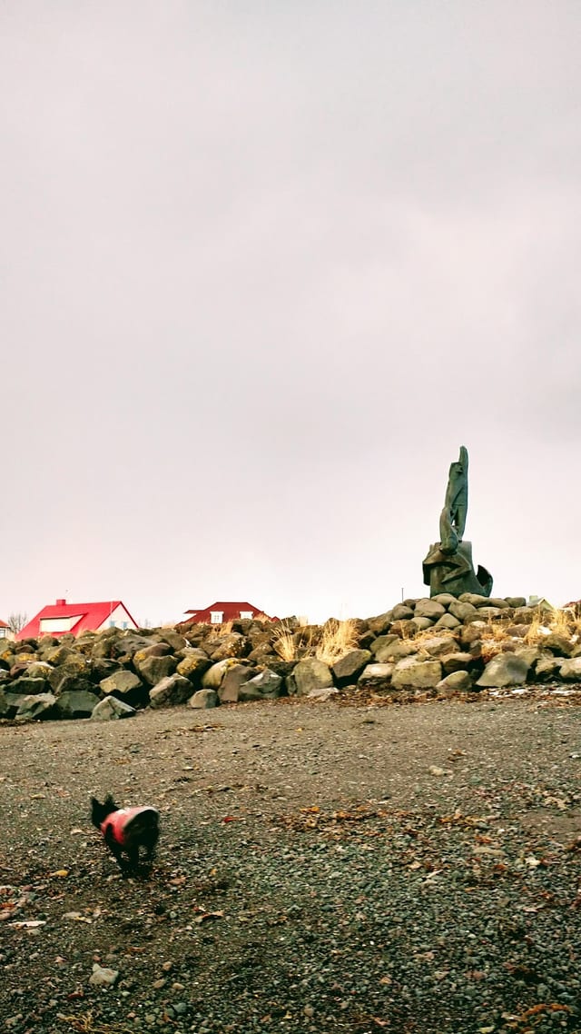 Ægisíða in Reykjavik