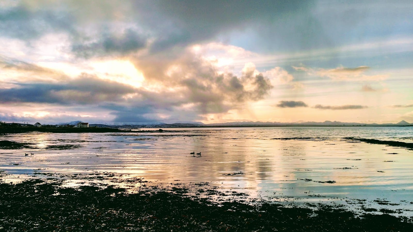 Ægisíða in Reykjavik