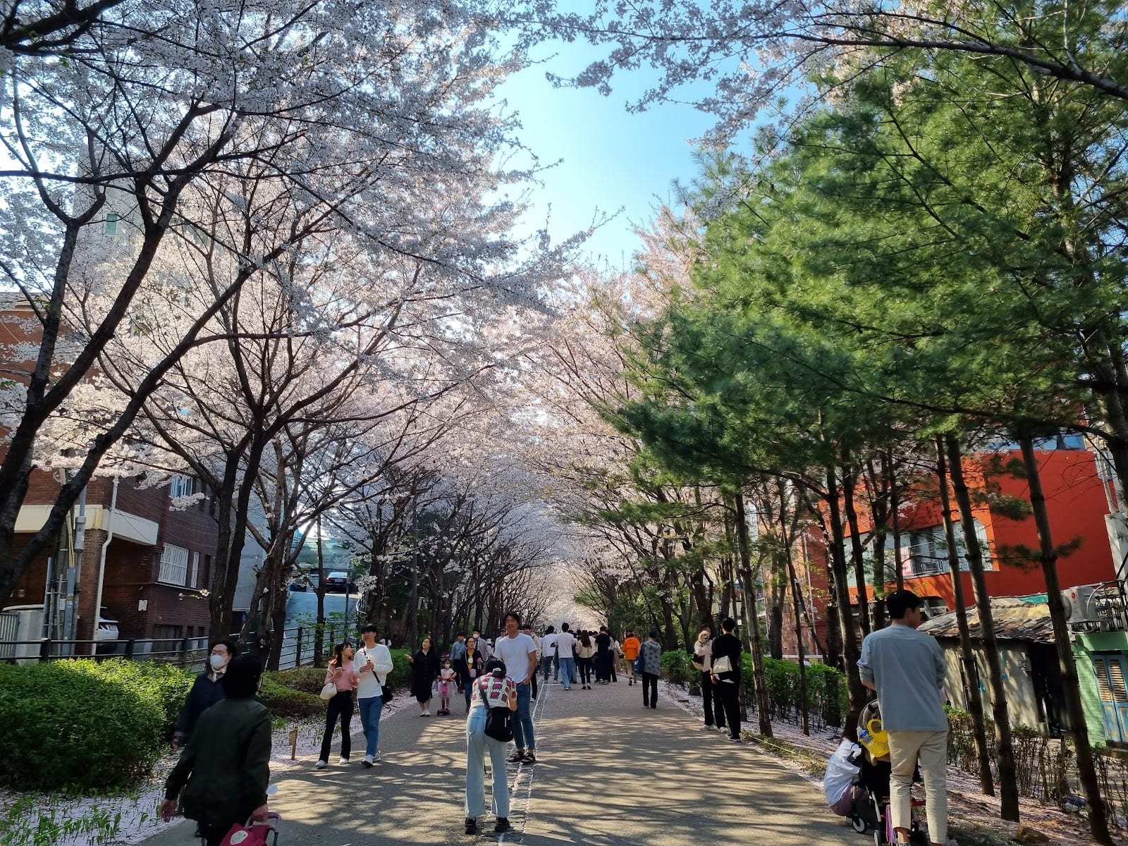 Gyeongui Line Forest Park in Seoul