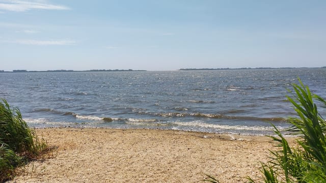 Mecox Bay in The Hamptons