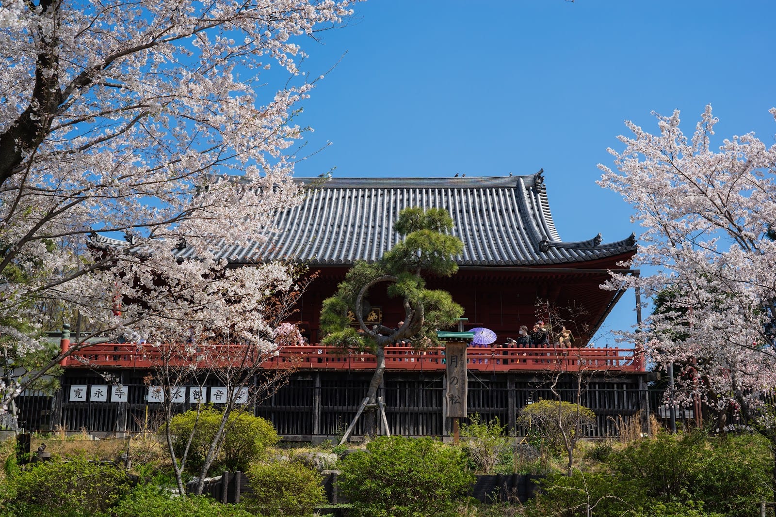 The red Kiyomizu Kannon-do temple in Ueno Park