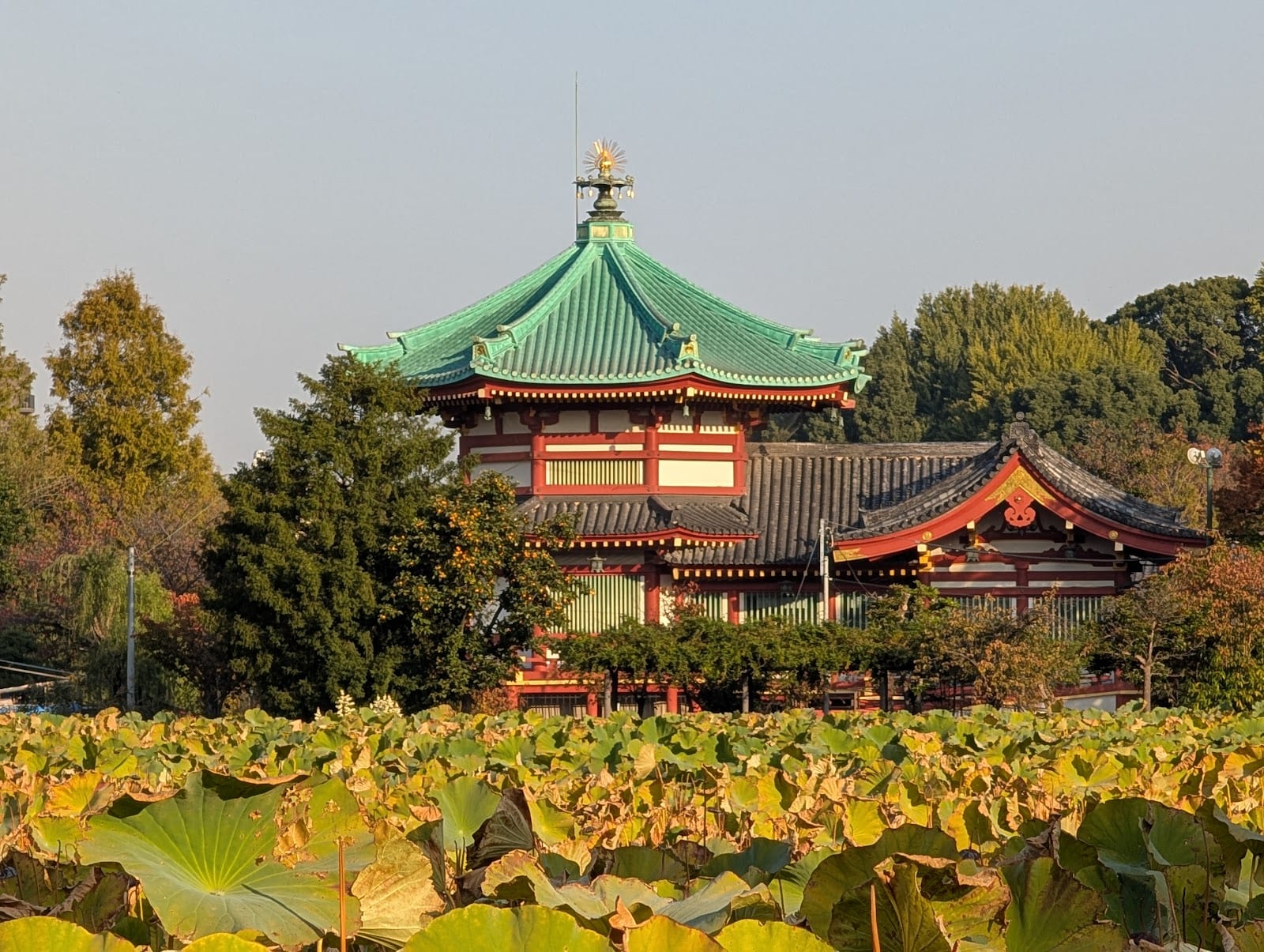 The Bentendo temple on Shinobazu Pond in Ueno Park